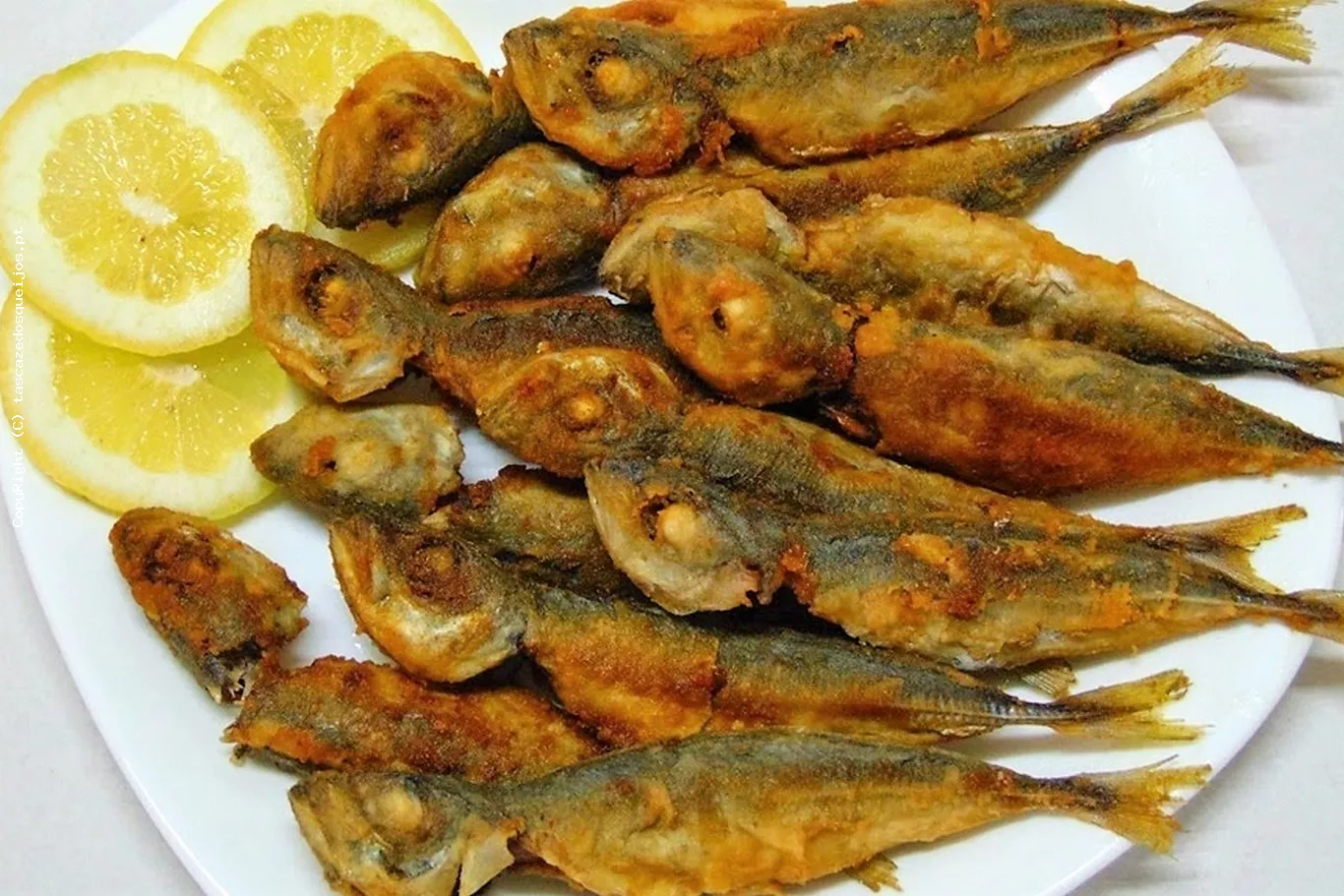 Jaquinzinhos Fritos